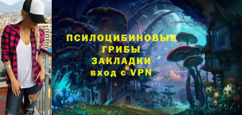 Псилоцибиновые грибы Psilocybe  Баймак 